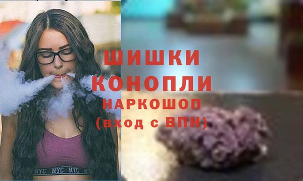 Альфа ПВП Ладушкин