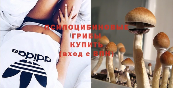 молекула духа Одинцово