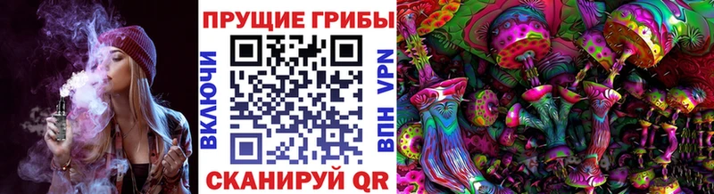 где купить наркоту  Черногорск  кракен tor  Псилоцибиновые грибы мицелий 